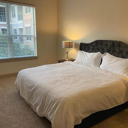 Gorgeous Furnished Apartments Near Texas Medical Center & Nrg Stadium Houston Room photo