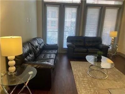 Gorgeous Furnished Apartments Near Texas Medical Center & Nrg Stadium Houston Exterior photo