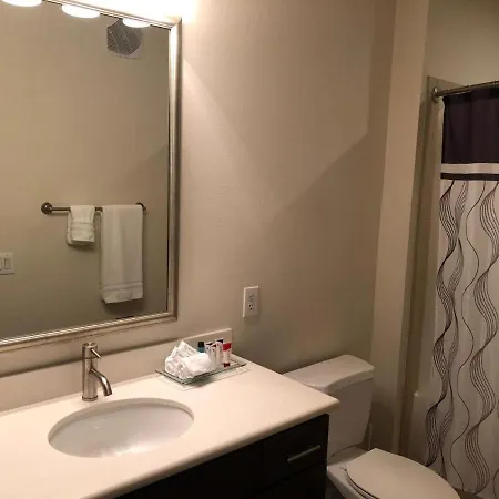 Gorgeous Furnished Apartments Near Texas Medical Center & Nrg Stadium Houston Room photo