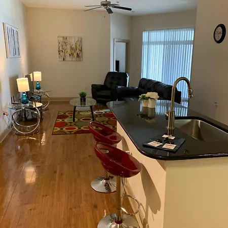 Gorgeous Furnished Apartments Near Texas Medical Center & Nrg Stadium Houston Room photo