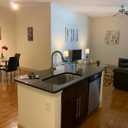 Gorgeous Furnished Apartments Near Texas Medical Center & Nrg Stadium Houston Room photo