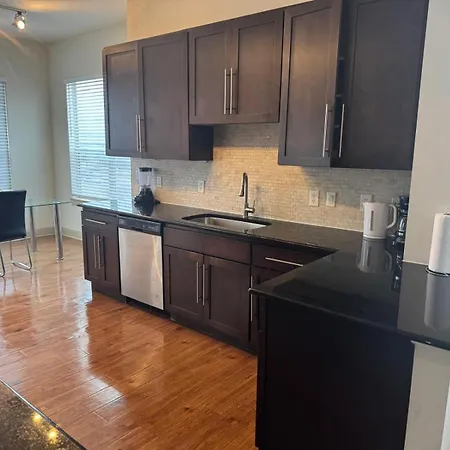 Gorgeous Furnished Apartments Near Texas Medical Center & Nrg Stadium Houston Room photo