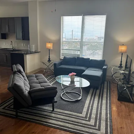 Gorgeous Furnished Apartments Near Texas Medical Center & Nrg Stadium Houston Room photo