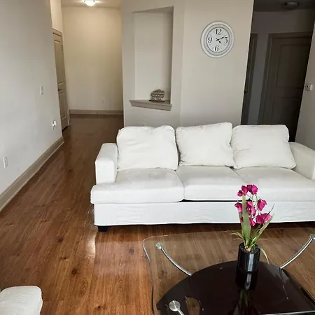 Gorgeous Furnished Apartments Near Texas Medical Center & Nrg Stadium Houston Room photo