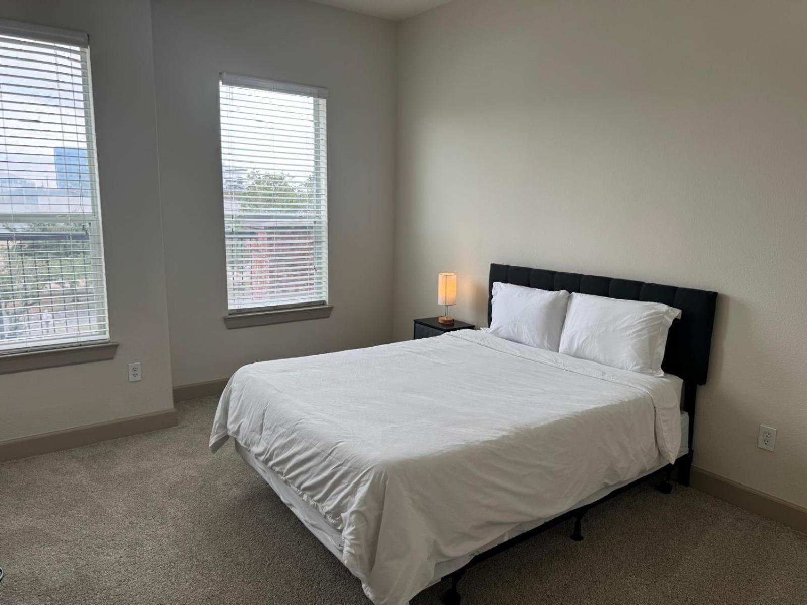 Apartment Gorgeous Furnished Near Texas Medical Center & Nrg Stadium *