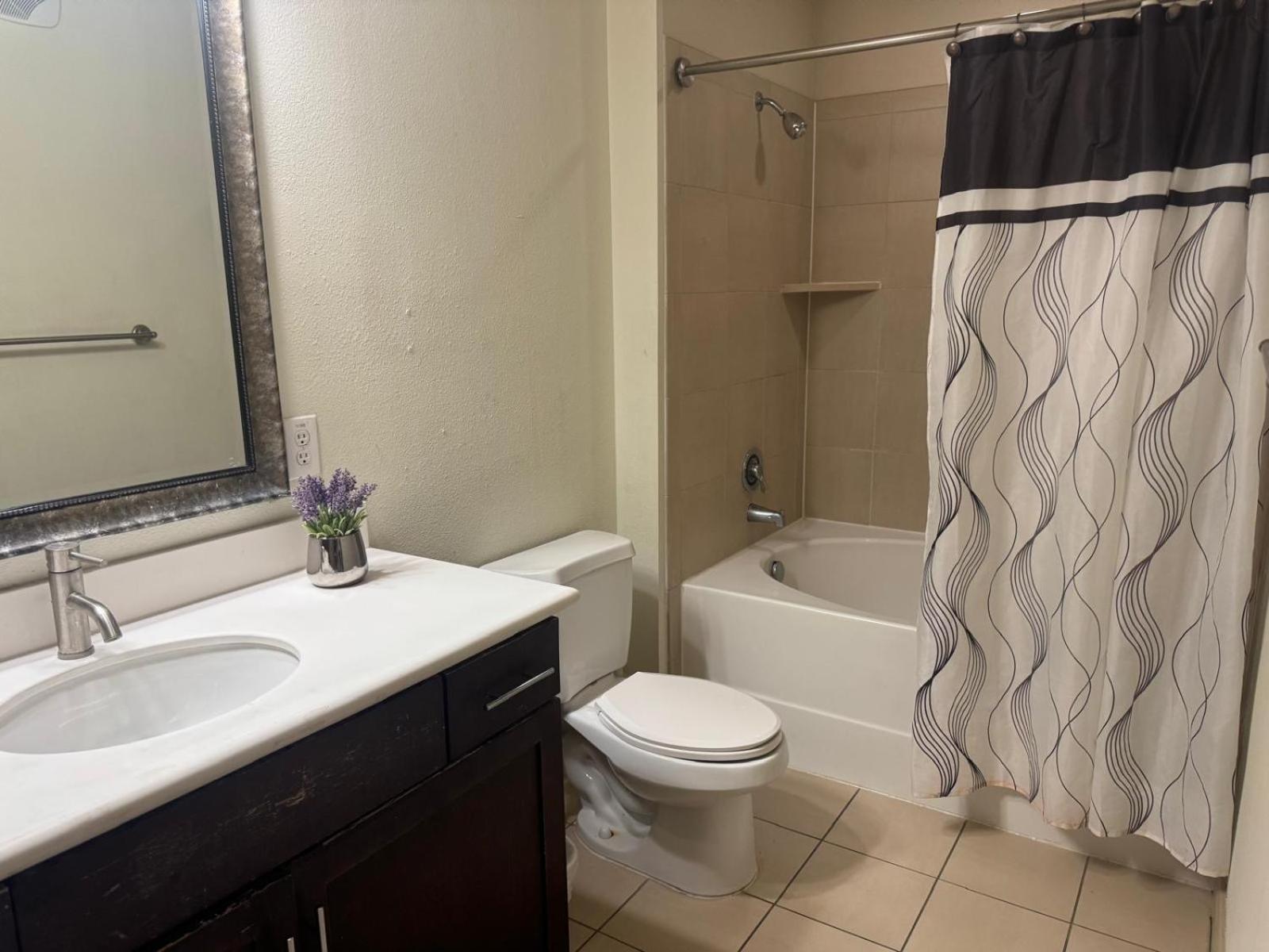 Gorgeous Furnished Near Texas Medical Center & Nrg Stadium Apartment Houston