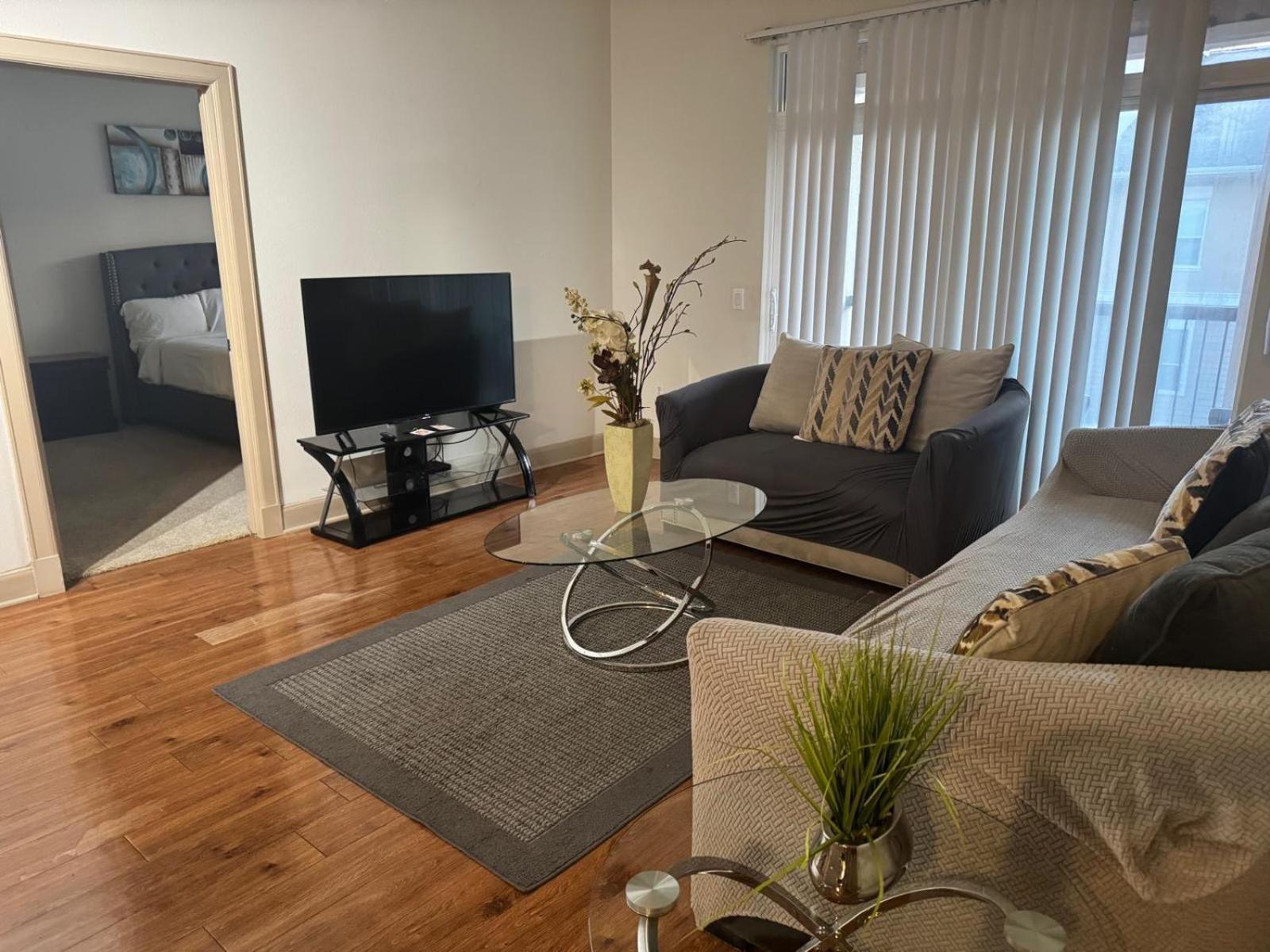 Gorgeous Furnished Near Texas Medical Center & Nrg Stadium Apartment *