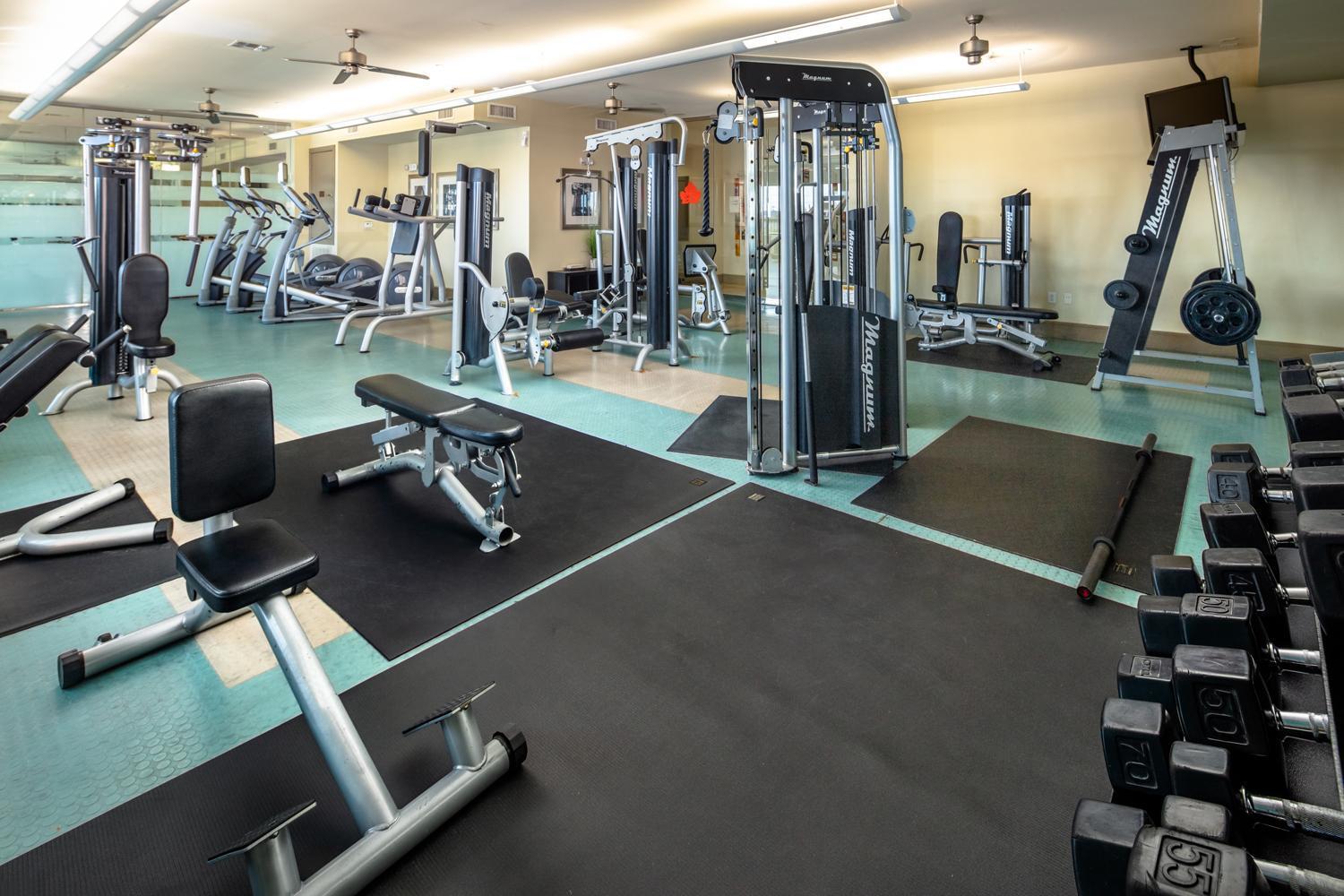 Apartment Gorgeous Furnished Near Texas Medical Center & Nrg Stadium Houston